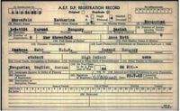 Displaced Person Registration Record (Kitty Williams)