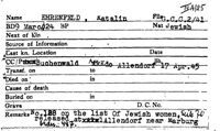 Kitty Williams's Buchenwald Record