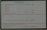 Kitty Williams's Record