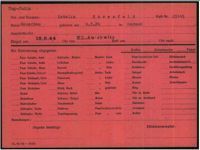 ITS Intake Document