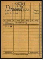 Kitty Williams's Number Card for sub-camp of Buchenwald
