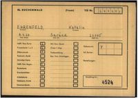 ITS Individual Document