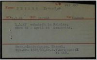 Kitty Williams's Auschwitz Record
